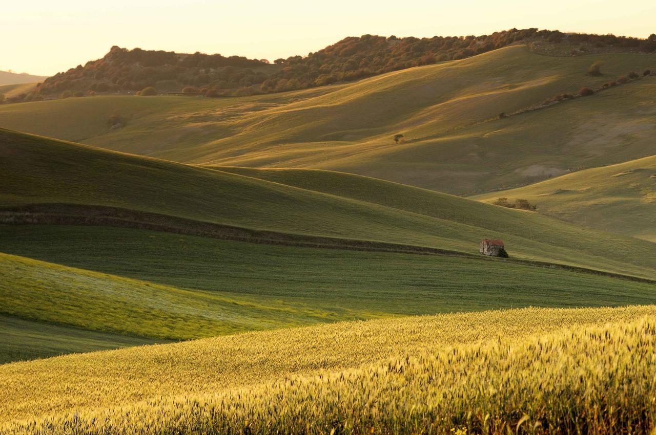 Agriturismo Palazzo Conti - B Pienza Eksteriør billede