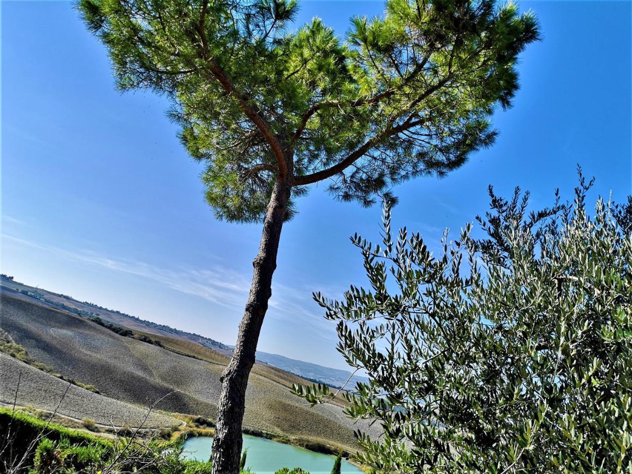 Agriturismo Palazzo Conti - B Pienza Eksteriør billede