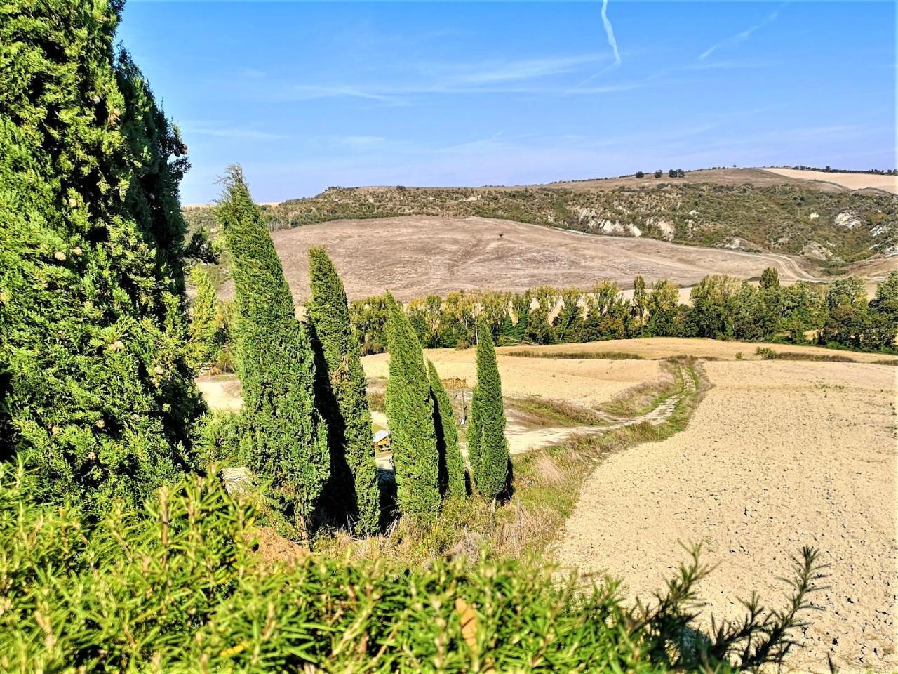 Agriturismo Palazzo Conti - B Pienza Eksteriør billede
